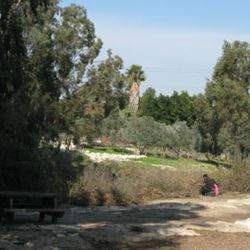 Public Parks & Gardens in Haifa
