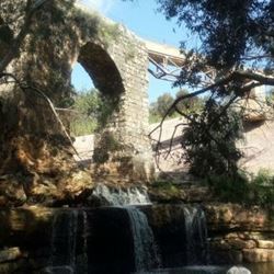 Public Parks & Gardens in Israel