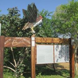 Birding Centers in Eilat