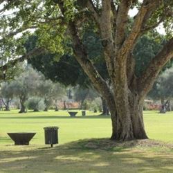 Public Parks & Gardens in Ramat Gan