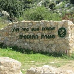 Nature And Animals in Israel