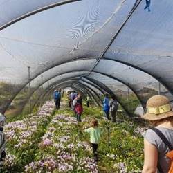 Agriculture in Israel