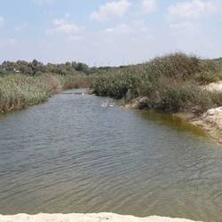 Nature And Animals in Israel