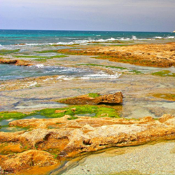 Beaches in Israel